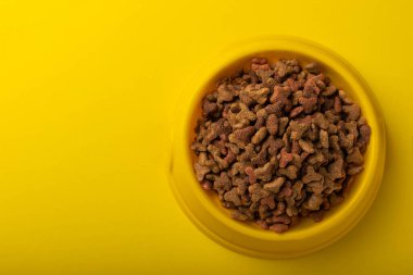 Sarı arka planda sarı bir kasede kuru kedi maması. Evcil hayvanlarda iyi sağlık ve enerji için vitamin ve besin maddeleri. Boşluğu kopyala.