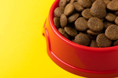 Sarı arka planda kurutulmuş köpek maması. Evcil hayvanlarda iyi sağlık ve enerji için vitamin ve besin maddeleri. Boşluğu kopyala.