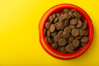 Sarı arka planda kurutulmuş köpek maması. Evcil hayvanlarda iyi sağlık ve enerji için vitamin ve besin maddeleri. Boşluğu kopyala.