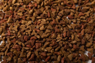 Çimento arka planında kediler için kuru yiyecek. Evcil hayvanların sağlığı ve enerjisi için vitaminler ve besinler. Uzayı kopyala.