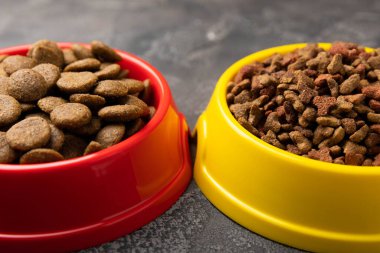 Arka planda sarı ve kırmızı bir kasede kedi ve köpekler için kuru yiyecek. Sağlıklı yaşam ve evcil hayvan enerjisi için vitamin ve besinler..