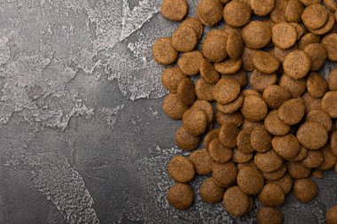 Çimento arka planında kuru köpek maması. Evcil hayvanlarda iyi sağlık ve enerji için vitamin ve besin maddeleri. Boşluğu kopyala.