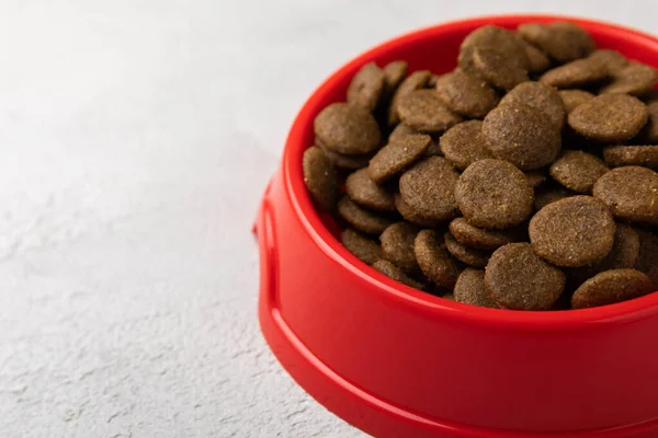 Dry Dog Food Red Bowl Cement Background Vitamins Nutrients Good — Stock Photo, Image