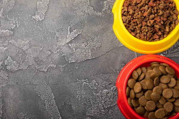 Alimento Seco Para Gatos Perros Bol Amarillo Rojo Sobre Fondo — Foto de Stock