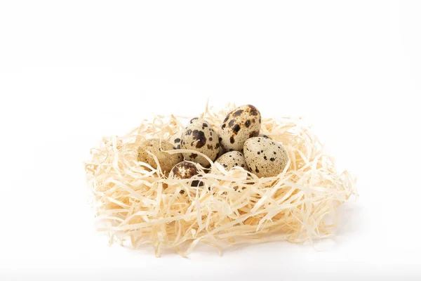 Перепелиные Яйца Гнезде Изолированы Белом Фоне Органическая Пища Место Смс — стоковое фото