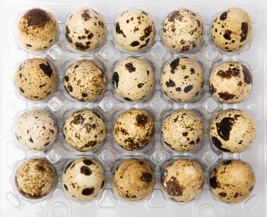 Beyaz bir arka planda izole edilmiş plastik bir pakette bıldırcın yumurtaları. Organik gıdalar. Mesaj için yer. taze yumurta