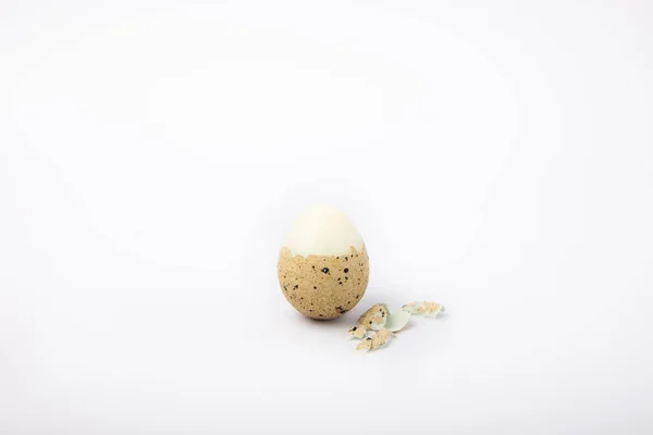 Βραστά Αυγά Ορτυκιού Που Απομονώνονται Λευκό Φόντο Βιολογικά Τρόφιμα Θέση — Φωτογραφία Αρχείου