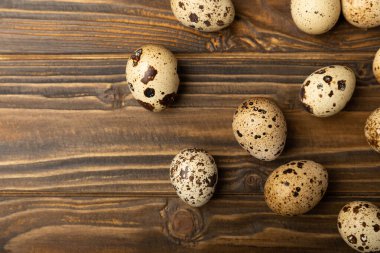 Kahverengi desenli bıldırcın yumurtaları. Organik yiyecekler. Mesaj için yer. Taze bıldırcın yumurtası..