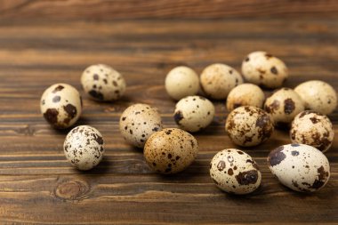 Kahverengi desenli bıldırcın yumurtaları. Organik yiyecekler. Mesaj için yer. Taze bıldırcın yumurtası..