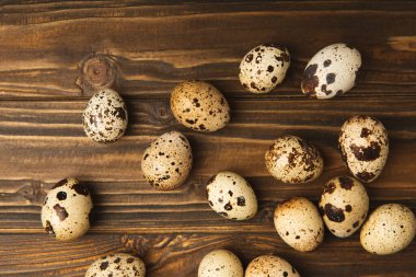 Kahverengi desenli bıldırcın yumurtaları. Organik yiyecekler. Mesaj için yer. Taze bıldırcın yumurtası..