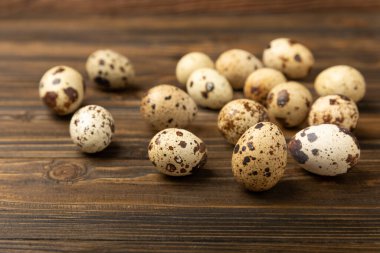 Kahverengi desenli bıldırcın yumurtaları. Organik yiyecekler. Mesaj için yer. Taze bıldırcın yumurtası..