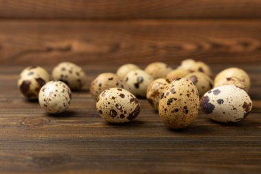 Kahverengi desenli bıldırcın yumurtaları. Organik yiyecekler. Mesaj için yer. Taze bıldırcın yumurtası..