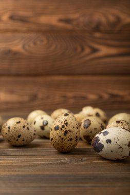 Kahverengi desenli bıldırcın yumurtaları. Organik yiyecekler. Mesaj için yer. Taze bıldırcın yumurtası..