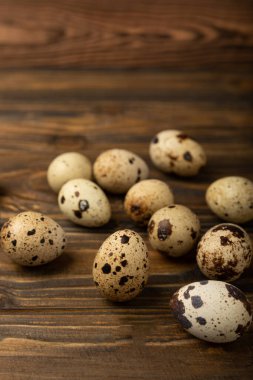 Kahverengi desenli bıldırcın yumurtaları. Organik yiyecekler. Mesaj için yer. Taze bıldırcın yumurtası..