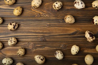 Kahverengi desenli bıldırcın yumurtaları. Organik yiyecekler. Mesaj için yer. Taze bıldırcın yumurtası..