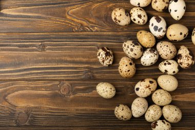 Kahverengi desenli bıldırcın yumurtaları. Organik yiyecekler. Mesaj için yer. Taze bıldırcın yumurtası..