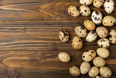 Kahverengi desenli bıldırcın yumurtaları. Organik yiyecekler. Mesaj için yer. Taze bıldırcın yumurtası..