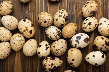 Kahverengi desenli bıldırcın yumurtaları. Organik yiyecekler. Mesaj için yer. Taze bıldırcın yumurtası..