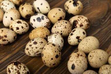 Kahverengi desenli bıldırcın yumurtaları. Organik yiyecekler. Mesaj için yer. Taze bıldırcın yumurtası..