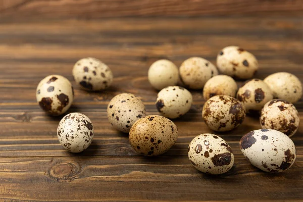 Kahverengi desenli bıldırcın yumurtaları. Organik yiyecekler. Mesaj için yer. Taze bıldırcın yumurtası..