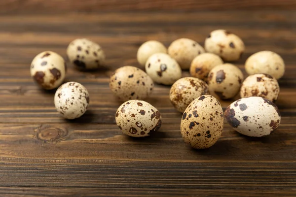Kahverengi desenli bıldırcın yumurtaları. Organik yiyecekler. Mesaj için yer. Taze bıldırcın yumurtası..