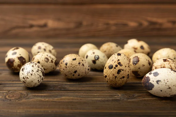 Kahverengi desenli bıldırcın yumurtaları. Organik yiyecekler. Mesaj için yer. Taze bıldırcın yumurtası..
