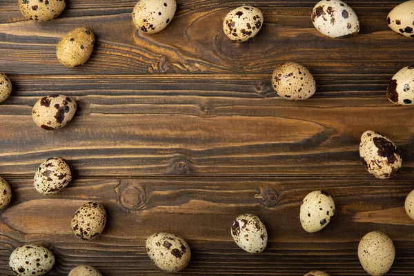 Kahverengi desenli bıldırcın yumurtaları. Organik yiyecekler. Mesaj için yer. Taze bıldırcın yumurtası..