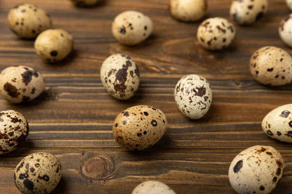 Kahverengi desenli bıldırcın yumurtaları. Organik yiyecekler. Mesaj için yer. Taze bıldırcın yumurtası..