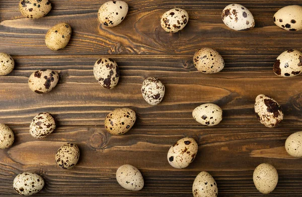 Kahverengi desenli bıldırcın yumurtaları. Organik yiyecekler. Mesaj için yer. Taze bıldırcın yumurtası..