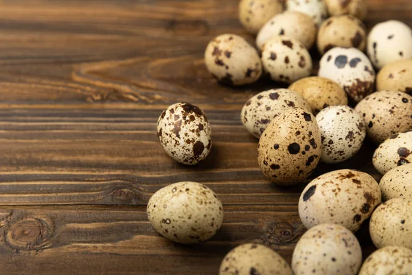 Kahverengi desenli bıldırcın yumurtaları. Organik yiyecekler. Mesaj için yer. Taze bıldırcın yumurtası..