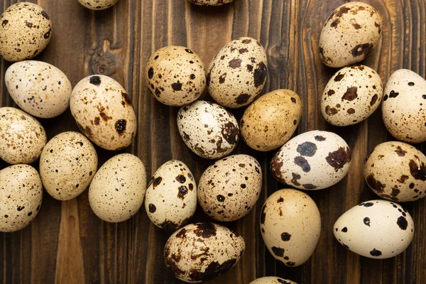 Kahverengi desenli bıldırcın yumurtaları. Organik yiyecekler. Mesaj için yer. Taze bıldırcın yumurtası..