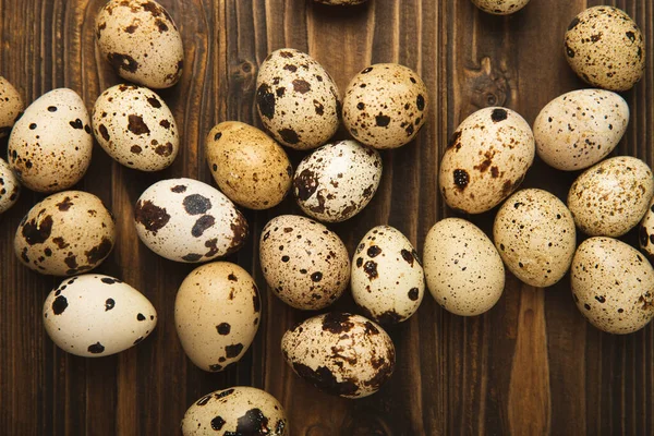 Kahverengi desenli bıldırcın yumurtaları. Organik yiyecekler. Mesaj için yer. Taze bıldırcın yumurtası..