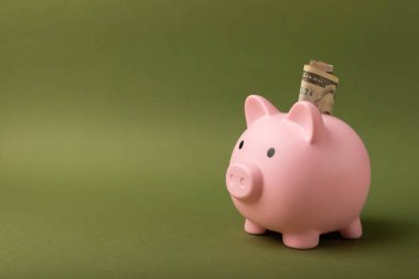 Zeytin arka planında dolarları olan bir kumbara. Para tasarrufu konsepti. Para birikimleri. Telif hakkı. yakın plan.