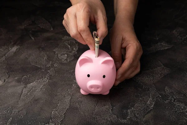 Piggy Bank Dollars Black Textured Background Woman Hand Puts Money — Stock Photo, Image