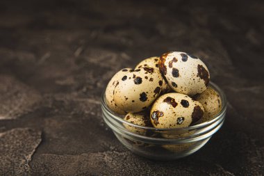 Siyah desenli bir kasede bıldırcın yumurtası. Doğal ürünler. Mesaj için yer. taze yumurta