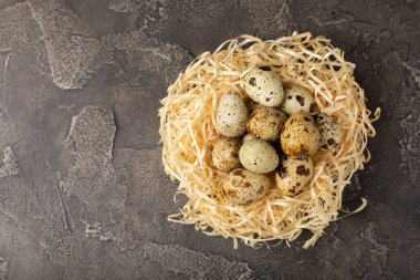 Siyah masa arkaplanındaki bir yuvada bıldırcın yumurtası. Doğal ürünler. Mesaj için yer. taze yumurta