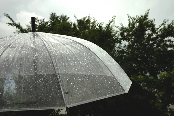 Transparent Umbrella Stormy Sky Greenery Summer Rain Thunderstorm — Stock Photo, Image