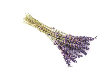 Beyaz arka planda yalıtılmış lavanta çiçekleri. Düz zemin. Kokulu çiçekler..