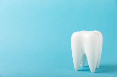 Mavi ahşap arka planda beyaz diş modeli. Diş hijyeni kavramı. Plağın ve sakız hastalığının önlenmesi.