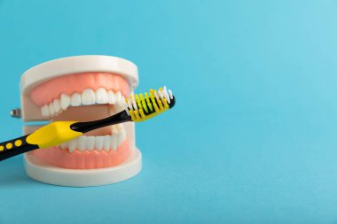 Mavi arka planda diş fırçası olan takma dişler. Üst ve alt çenelerde takma dişler. Takma dişler ya da takma dişler, yakın plan. Boşluğu kopyala. Uygula