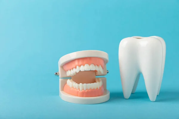 蓝色底座上的假牙和假牙模型 上下颚假牙 假牙或假牙 复制空间 Mockup — 图库照片