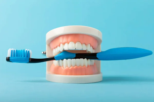 Mavi Arka Planda Diş Fırçası Olan Takma Dişler Üst Alt — Stok fotoğraf