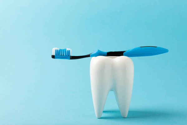 Модель чистки белого зуба с зубной щеткой на синем фоне. Концепция гигиены зубов. Профилактика заболеваний десен и бляшек.