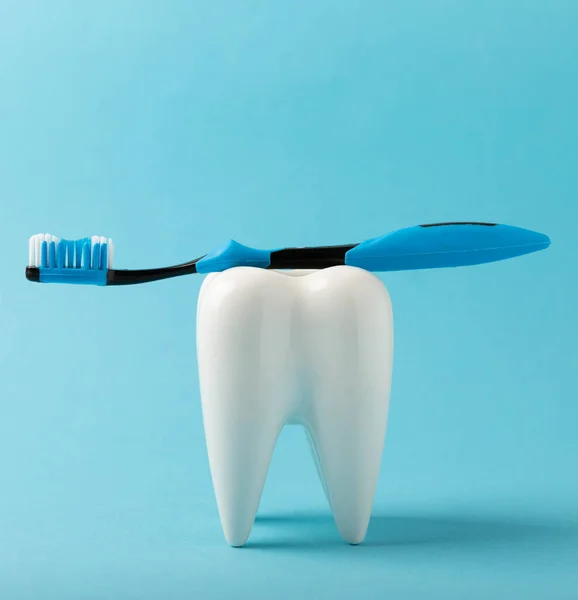 Очисна Модель Білого Зуба Зубною Щіткою Синьому Фоні Концепція Гігієни — стокове фото
