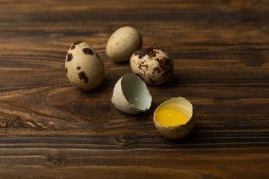Kahverengi desenli bıldırcın yumurtaları. Çiğ yumurta. Kırık bıldırcın yumurtası. Doğal ürünler. Mesaj için yer. Taze bıldırcın yumurtası..