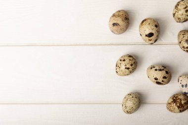 Beyaz desenli bıldırcın yumurtaları. Doğal ürünler. Mesaj için yer. Taze bıldırcın yumurtası..