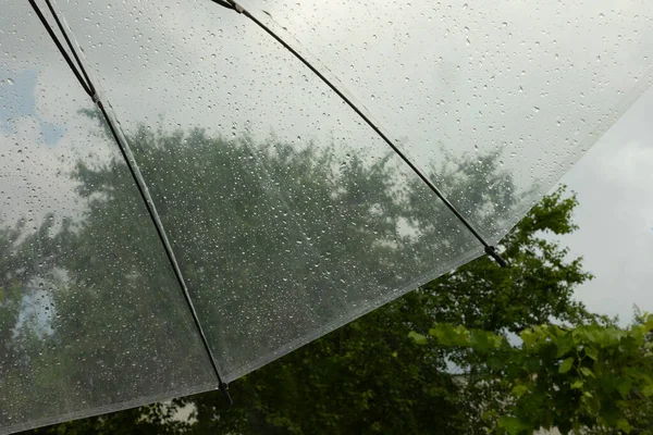 Guarda Chuva Transparente Contra Céu Tempestuoso Vegetação Chuva Verão Trovoada — Fotografia de Stock