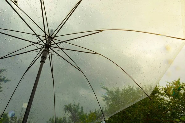 Guarda Chuva Transparente Contra Céu Tempestuoso Vegetação Chuva Verão Trovoada — Fotografia de Stock