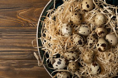 Quail eggs on brown texture table background. Whole and broken quail eggs. natural products. Place for text. Fresh quail eggs.