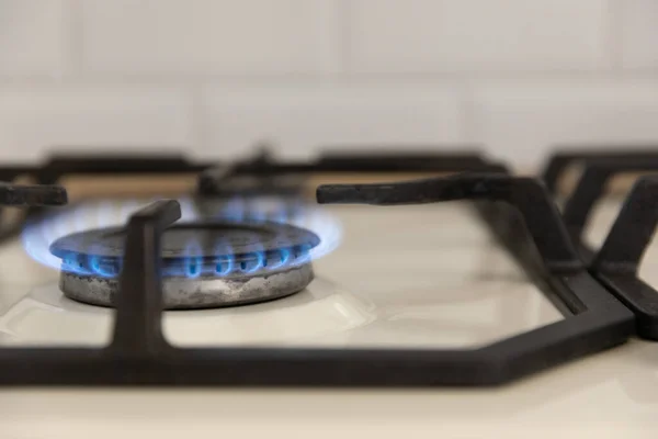 Close-up of a blue flame of fire from a home cooking stove. The concept of industrial resources and economy. Gas stove with a burning flame.Propane.Close-up.Copy space.